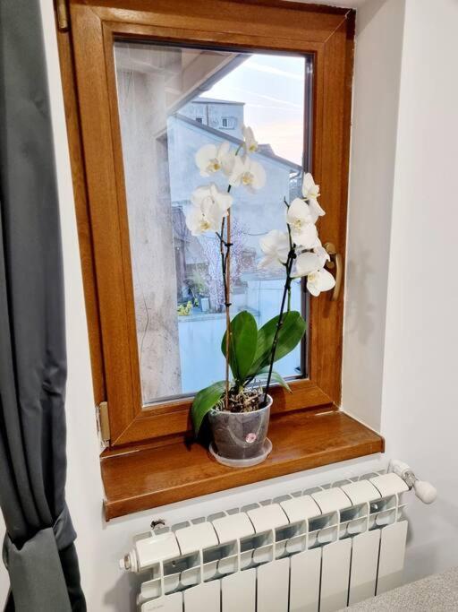 Cozy Apartment Near City Center 布加勒斯特 外观 照片